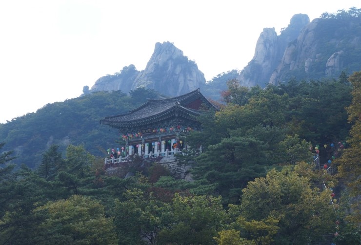 최*용1 이미지