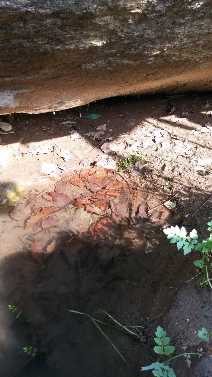 삼원농장 이미지