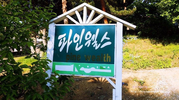 파인웰스 이미지