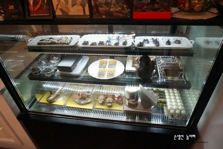 젤란디아 이미지