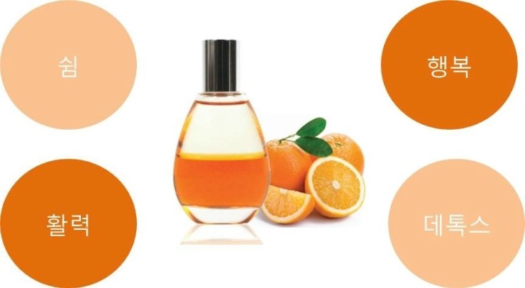 더스파(THE SPA) 이미지