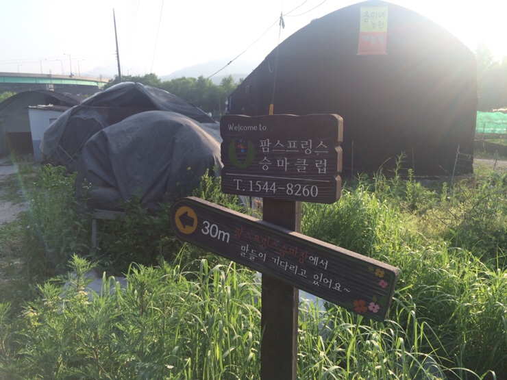네파장암 이미지