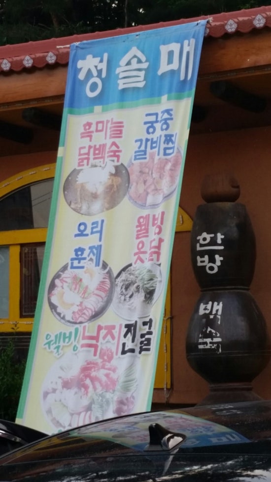 청솔매 이미지