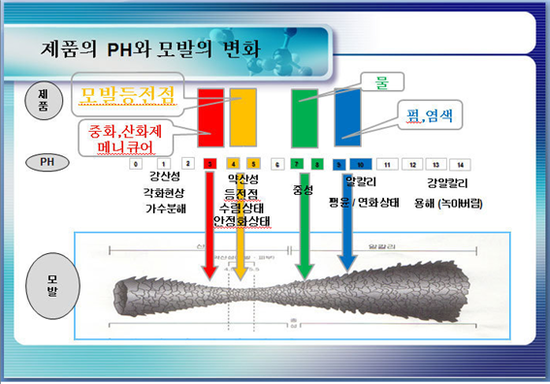 마잘 이미지