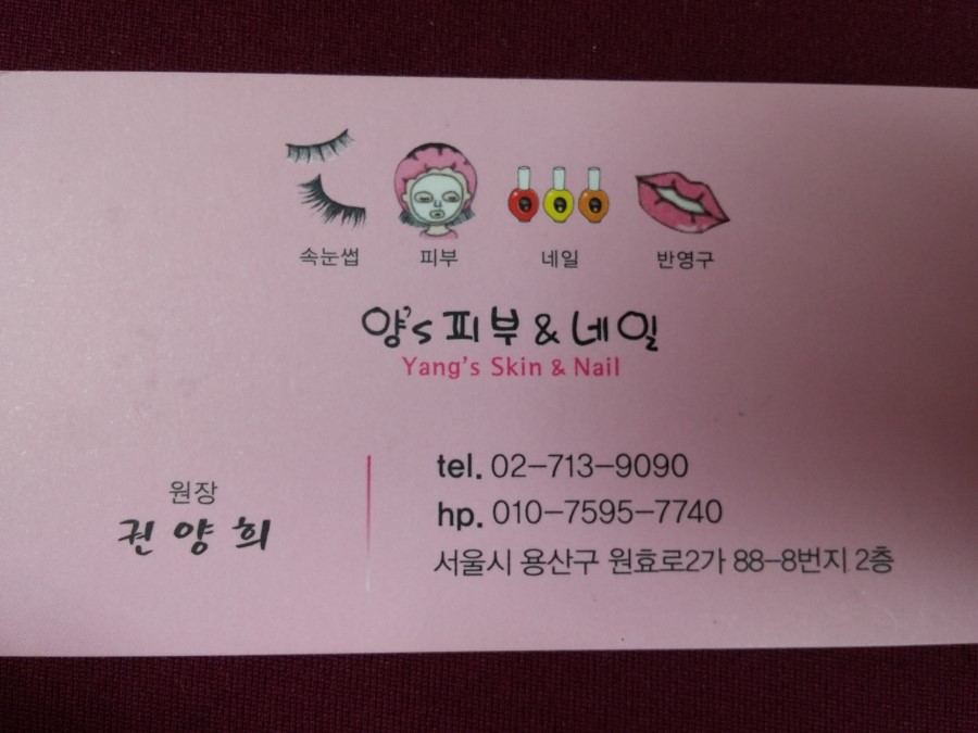 양스 이미지