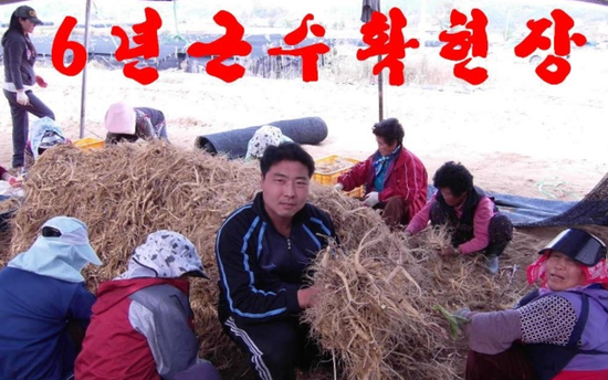 금산인삼직거래 이미지
