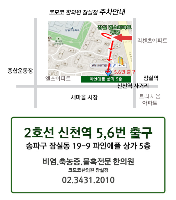엘스네일 이미지