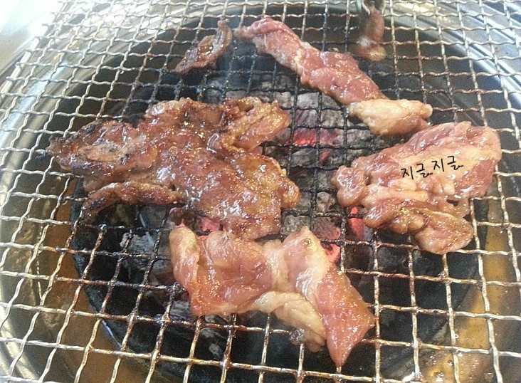 황금돈돼지 이미지