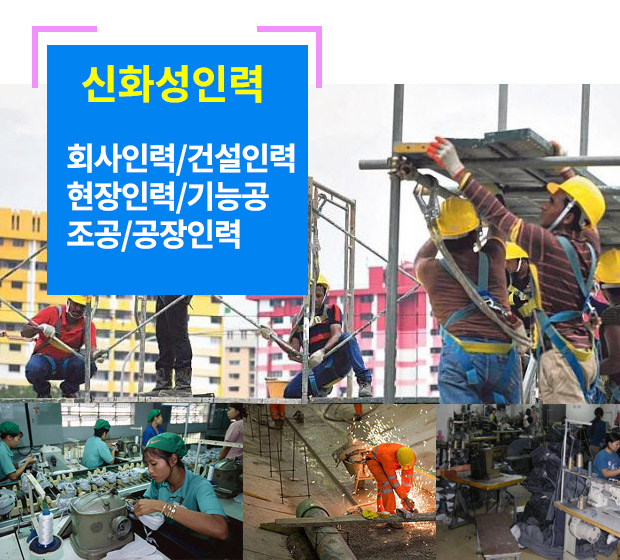 신화성인력 이미지