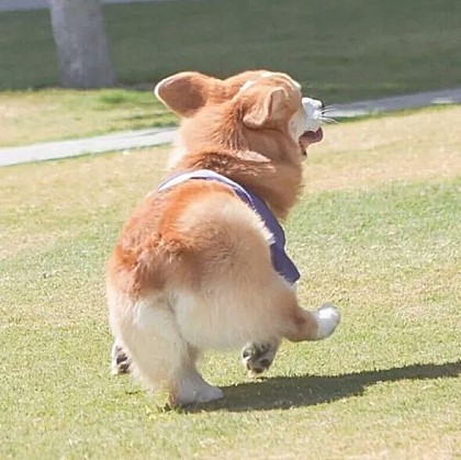 헤어퀸 이미지