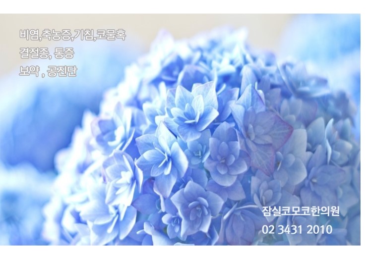 엘스네일 이미지
