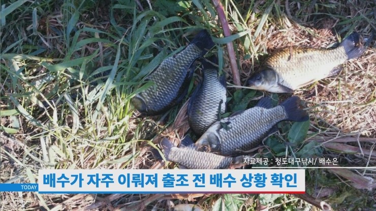 청도대구낚시(수릿대닷컴) 이미지