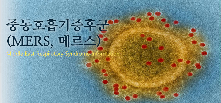 자세희 이미지