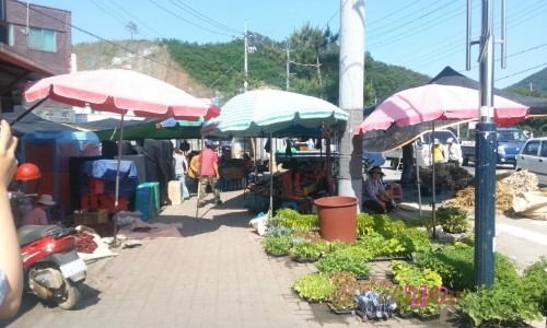 주성주유소 이미지