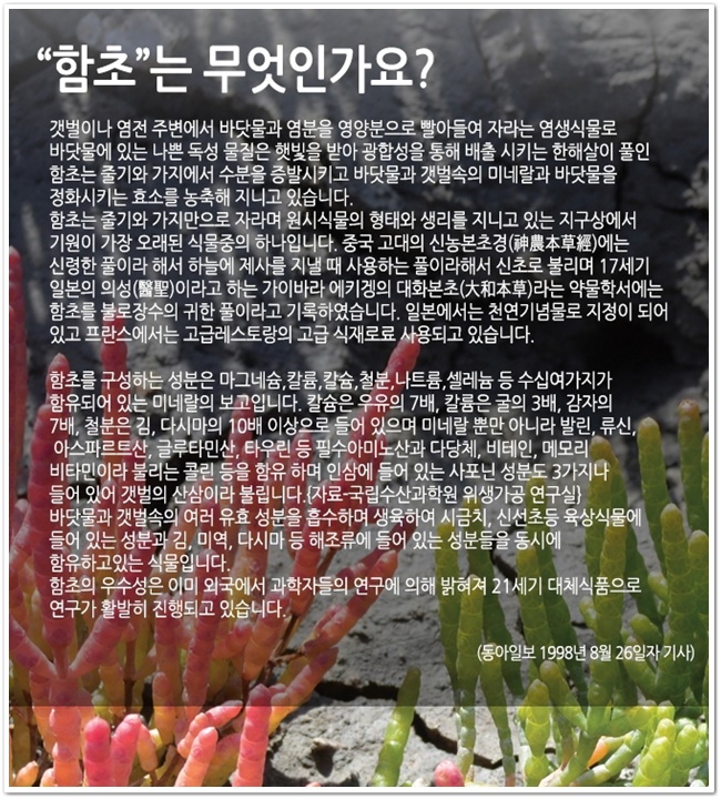 동호칼슘 이미지
