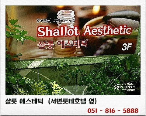 샬롯에스테틱 이미지