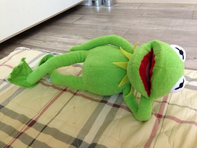 커밋 이미지
