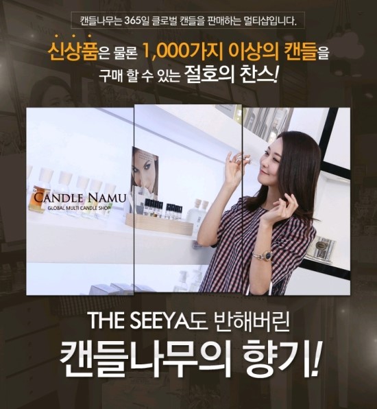 캔들나무 이미지