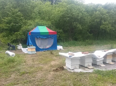 산날망양봉농원 이미지