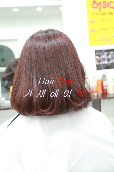 헤어닥 이미지