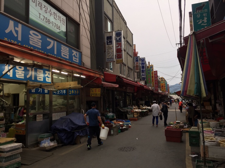 도마도마도 이미지