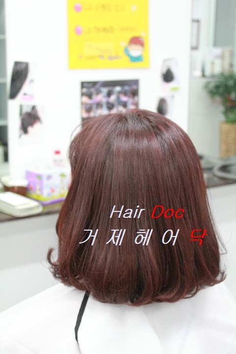 헤어닥 이미지