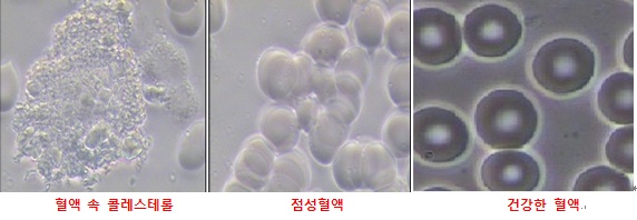 정원한의원 이미지