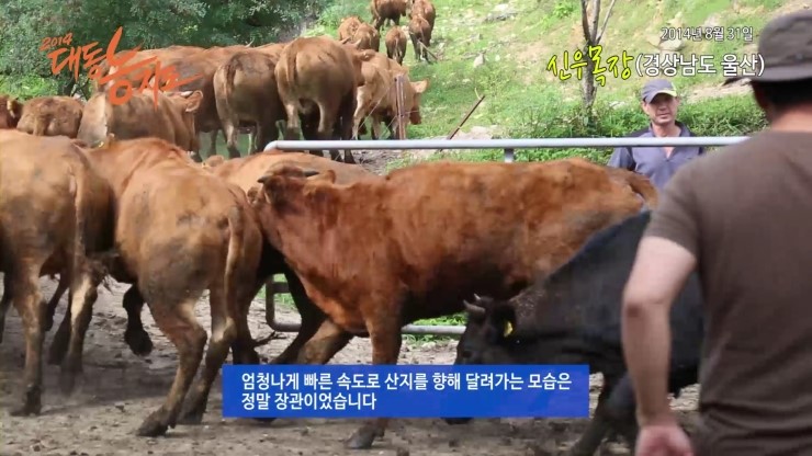 신우축산 이미지