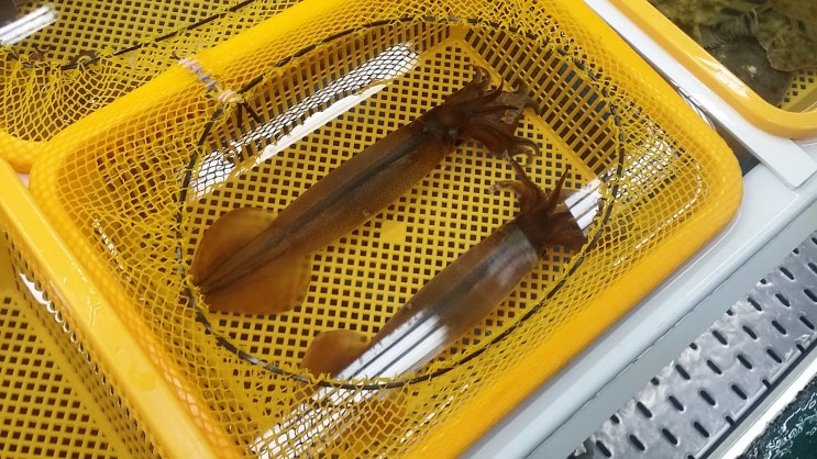 동방상회 이미지