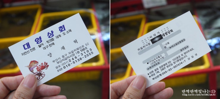 대영상회 이미지