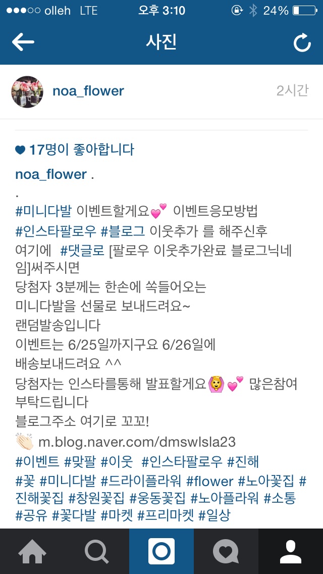 노아플라워 이미지