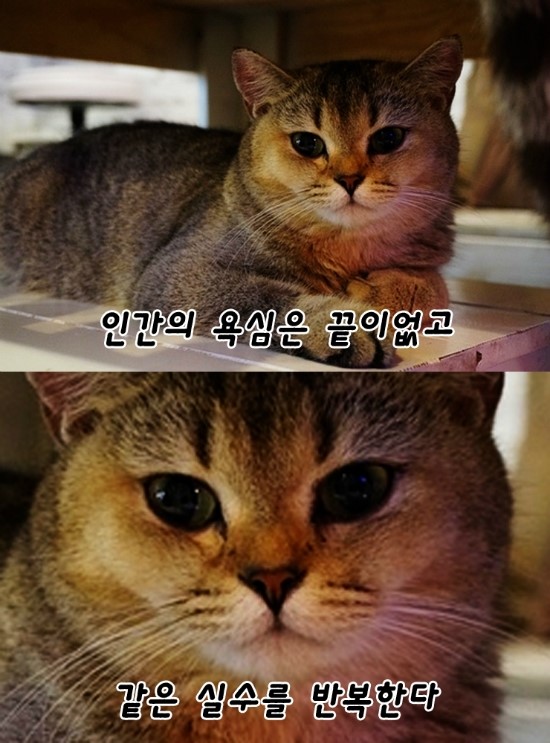 유미주의 이미지