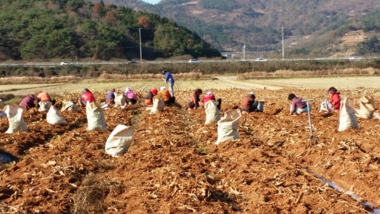 늘푸른농원 이미지
