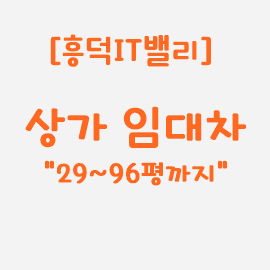 세무법인나우 이미지