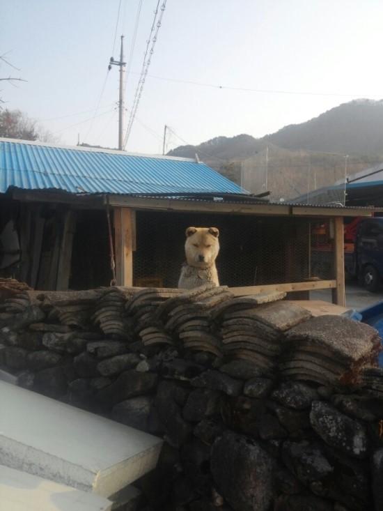 카페더유월 이미지