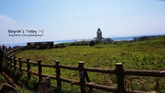 바다숲 풀내음 이미지