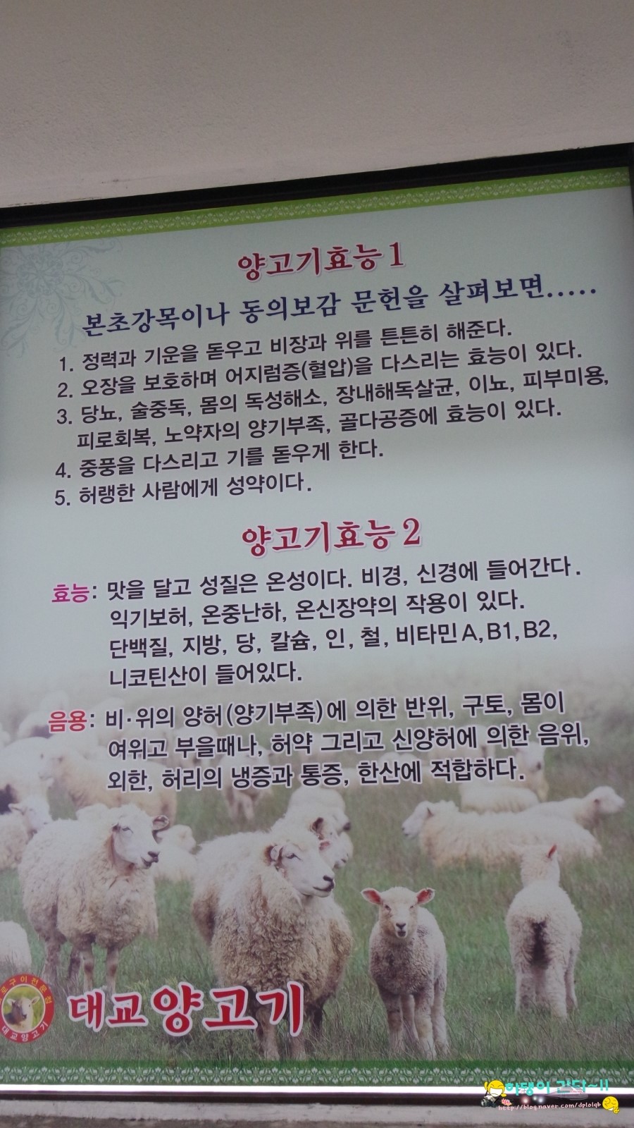 대교양고기 이미지
