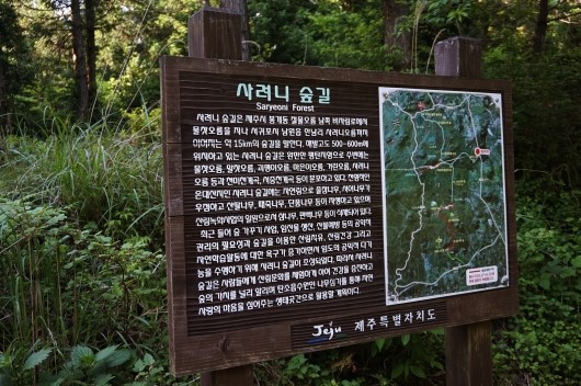 바다숲 풀내음 이미지