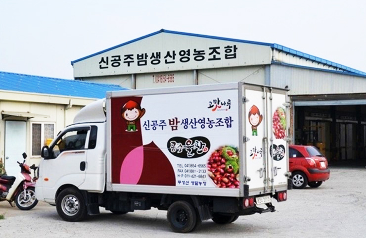 신공주밤생산영농조합 이미지