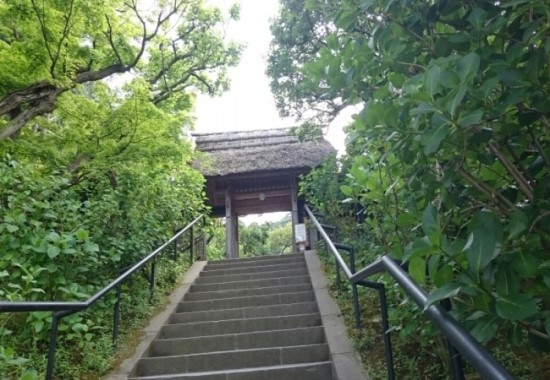 동경사 이미지