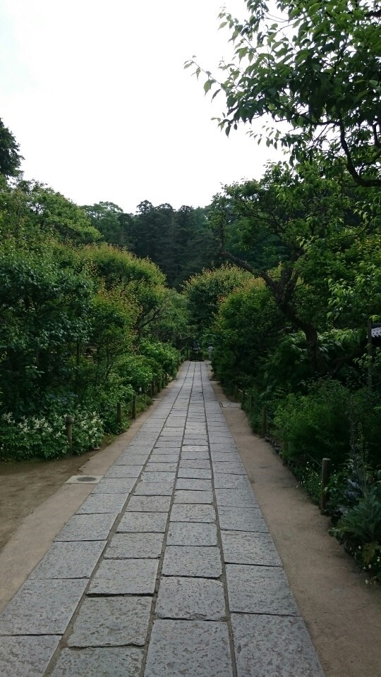 동경사 이미지