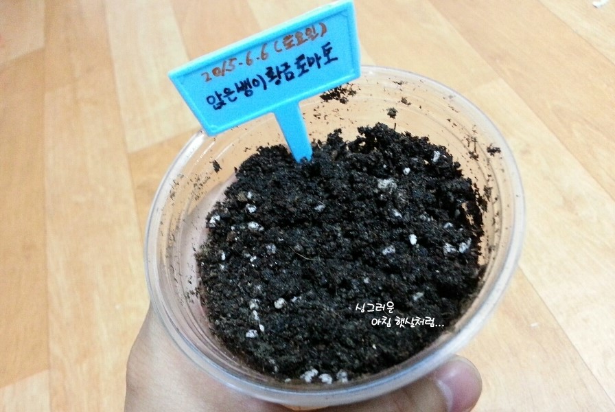 황금마트와 황금커피 이미지