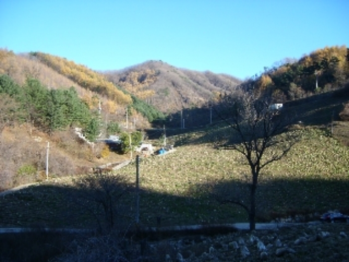 (주) 효성 이미지