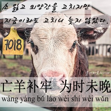외양간 이미지