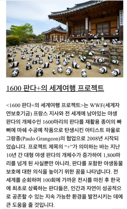 고고판다 이미지