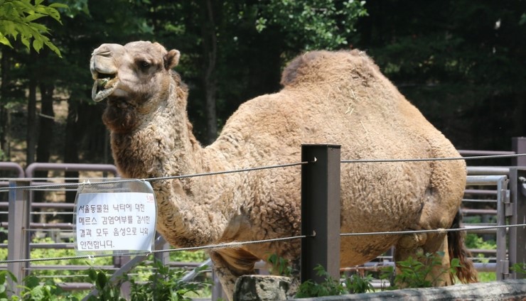 선학슈퍼 이미지