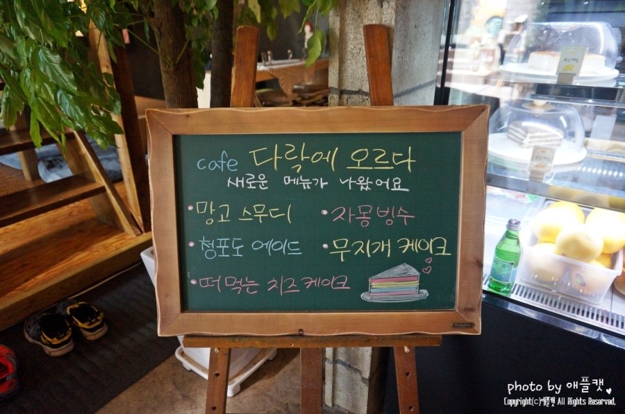 카페다락에오르다 이미지