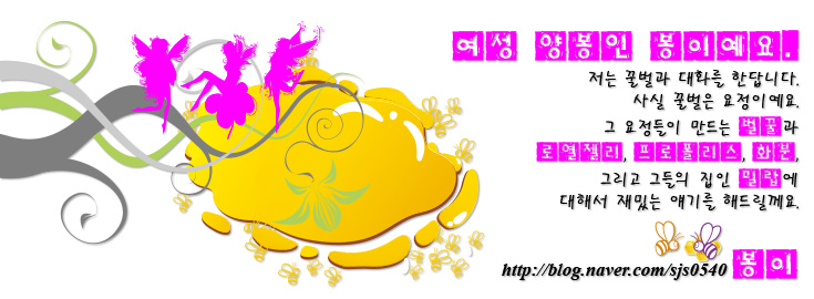 꿀벌PC 이미지