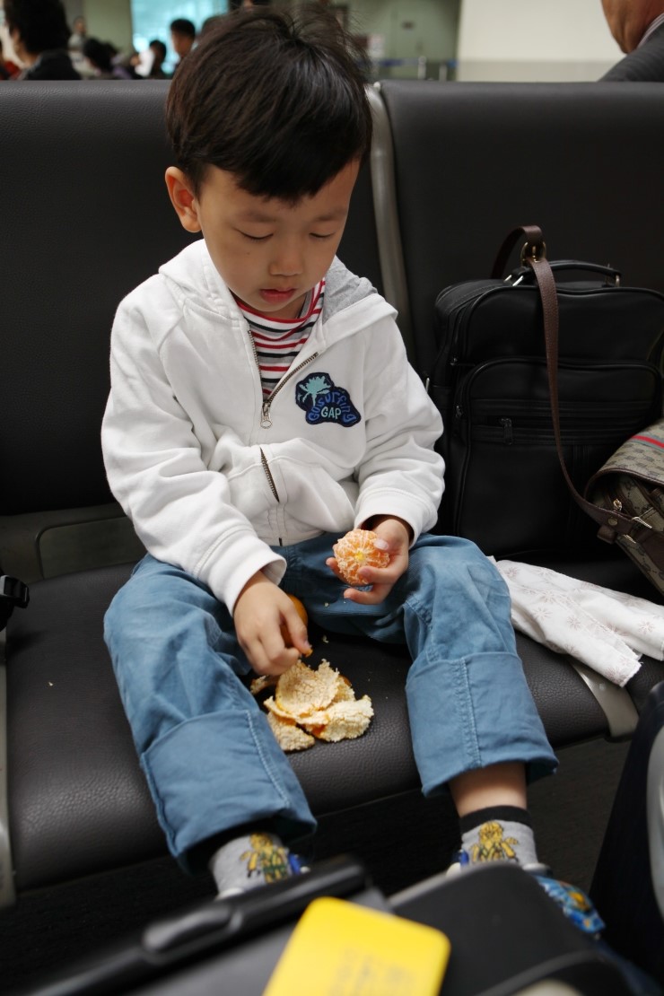 맘편한여행 이미지