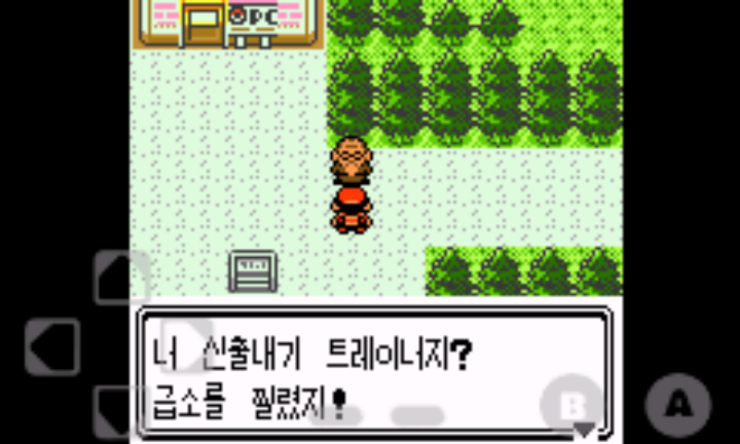 몬스터 골드 이미지